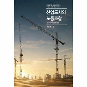 산업도시의 노동조합 : 경남의 지역노동운동 - 창원대학교 사회과학연구소 산업도시연구 총서 3