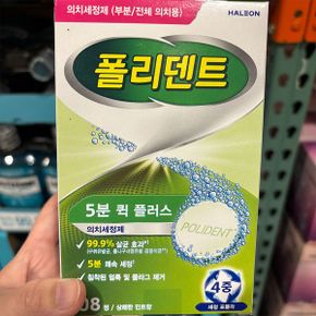 코스트코 폴리덴트 의치 세정제 108정 상쾌한 민트향 세정제