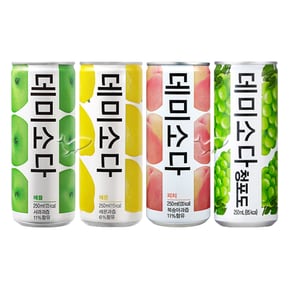 데미소다 250ml 애플/ 5캔+레몬/ 5캔+복숭아/ 5캔+청포도/ 5캔 총20캔