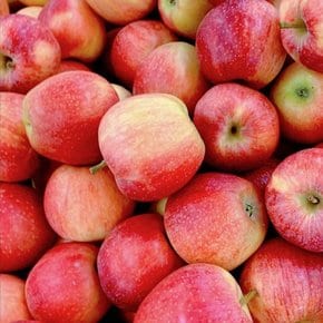 Fresh 새콤달콤 의성햇사과 가정용 흠과 소과 5.0kg 25-33과