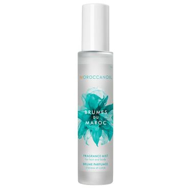  Moroccanoil 모로칸오일 모일 브루메스 뒤 모로코 100ml