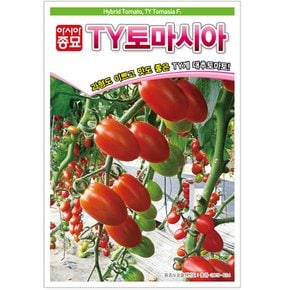 토마토종자씨앗 TY토마시아 (20립) 대추방울토마토