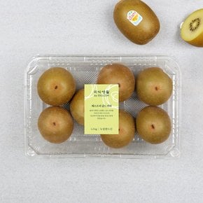 뉴질랜드산 점보 골드키위 1.2kg 팩
