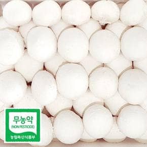 친환경 무농약 부여 양송이 버섯 특품 500g 선물용 친환경채소