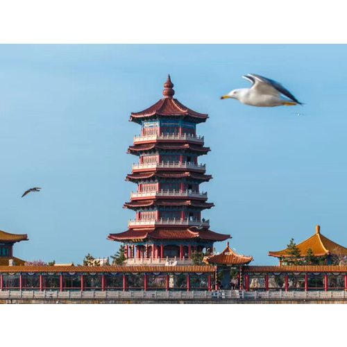 상품이미지7