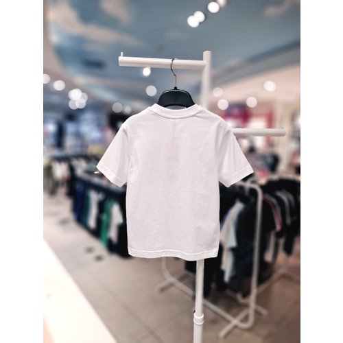 IMAGE8