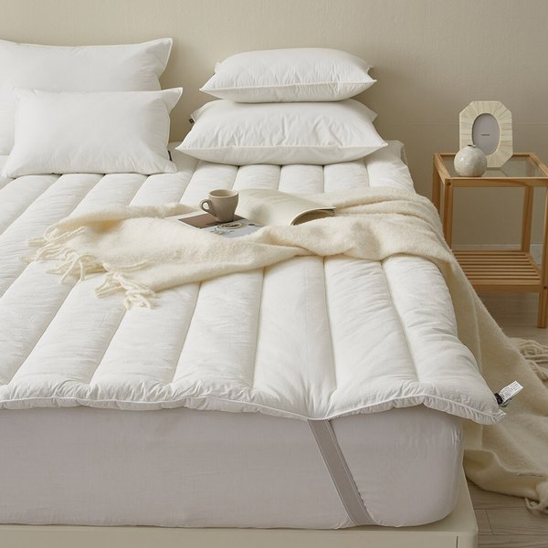 샤르르 파우제 60수 순면 밴딩 토퍼 침대패드 SS