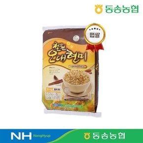 [동송농협] 26년햅쌀 강원도 철원 오대현미쌀 10kg