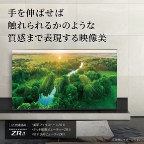 5 4K LCD TV 55Z570L 4K HDD TV (2022년) 레가인치 튜너 내장 외부 리어뷰 프로그래밍 스마트