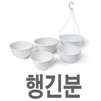  화분백화점 플라스틱화분 화분백화점 걸이형화분 마사토 행긴 걸이형화분 행긴