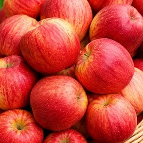 26년 첫출하! 아삭 달콤한 햇 홍로사과 가정용 대과 4kg (12~15과 내외)