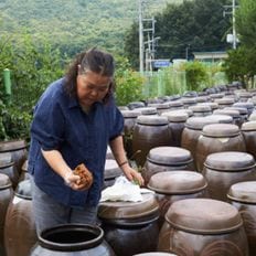 정미숙발효이야기 항아리 명인 재래식 배고추장250g 6