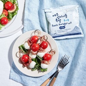 제주 성이시돌 목장 유기농 후레쉬 모짜렐라 치즈 미니 보코치니 120g 3개