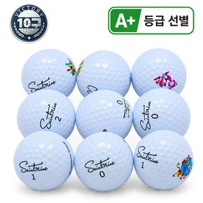 혼합 골프 로스트볼 A+급 10알/빅토리