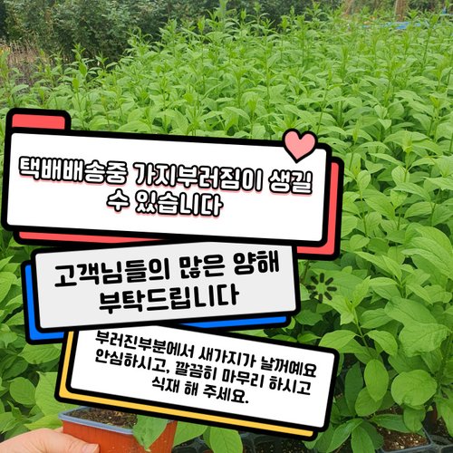 추가이미지