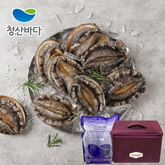 청산바다 [산지직송] 완도전복[大] 9-10미 2kg+백화점보냉가방포장