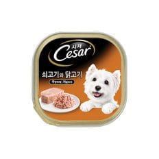 시저 강아지 주식캔 습식사료 100g