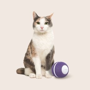 고양이 자동 롤링볼 PP03 움직이는 장난감