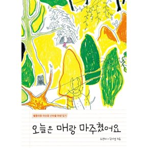 오늘은 매랑 마주쳤어요 : 별똥이랑 이모랑 산마을 야생 일기 (키다리그림책 65) [양장] [화진유통]