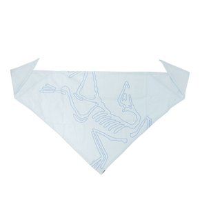 [해외배송] 아크테릭스 신솔로 로고 메쉬 반다나 X000010184 SINSOLO BANDANAALPINE BLUE