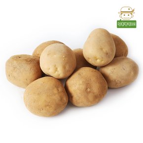 포근포근 분나는 국내산 햇 고향감자(왕특) 3kg