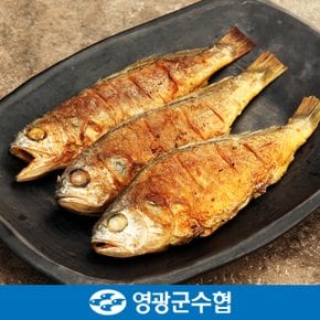 [명절 후 배송][냉동][영광군수협]법성포 영광 진공 굴비 세트 2.8kg(40미) / 700g*4팩