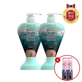 엘지생활건강 히말라야핑크솔트 285g*2개(아이스) + 히말라야 핑크솔트 담은 칫솔(부드러운) 2개