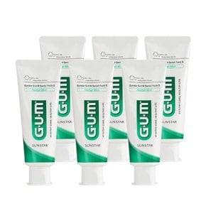 GUM 선스타검덴탈페이스트에스 임플란트 관리 후 치과 미백 저자극 치약(130g) 6개