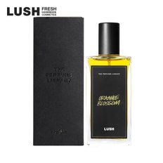 [공식]오렌지 블러썸 100ml - 퍼퓸/향수