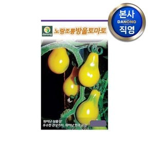 노랑조롱 방울 토마토 씨앗 50립 .  노란 작은 미니 씨 종자 베란다 텃밭 채소