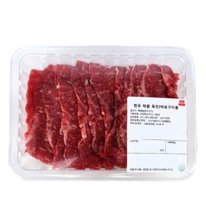 한우 채끝 바로구이/육전용 300g 팩