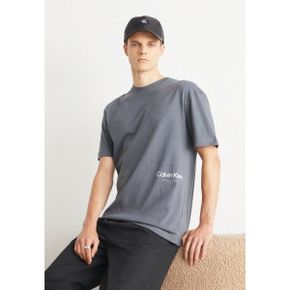 5072997 Calvin Klein OFF PLACEMENT LOGO - Print T-shirt iron gate