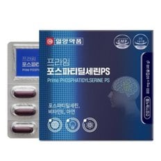  포스파디딜세린 포스파티딜세린 포스타디딜세린 뇌 두뇌 브레인 징코 은행잎추출물