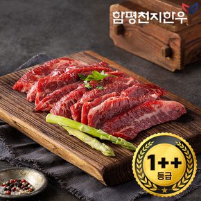 [함평축협] 함평천지한우 1++(7) 치마살 300g