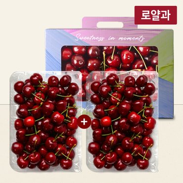 라라르떼 체리 800g 선물세트