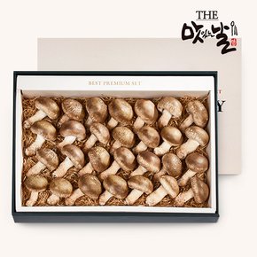 [9/2 순차출고]무농약 참송화버섯 이코노미 선물세트 1kg/28~30개