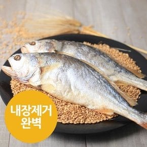 [굴비가]내장제거 초간편부세보리굴비 5팩