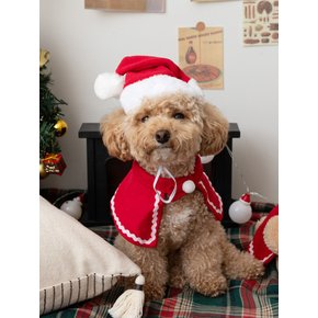 고양이 강아지 크리스마스 모자 산타 루돌프 귀도리 바라클라바 2종