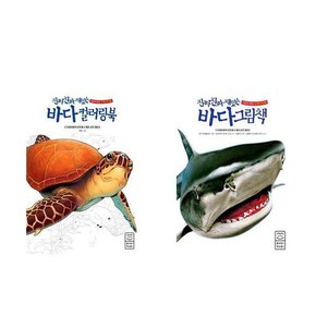 바다그림책+ 바다왕 컬러링북 전2권세트 진짜진짜 재