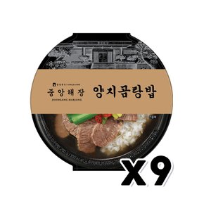 중앙해장 양지곰탕밥 즉석간편조리 450g x 9개