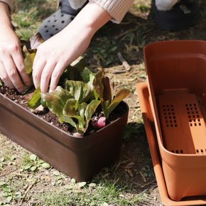 홈가드닝 실내정원 텃밭 꽃 원예용품 테라스화분 대형