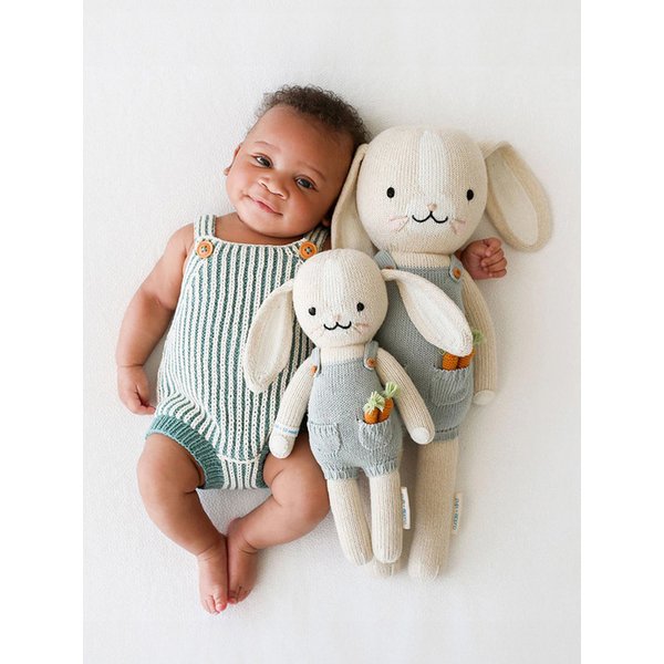 레귤러 헨리 버니