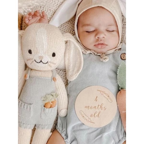 레귤러 헨리 버니