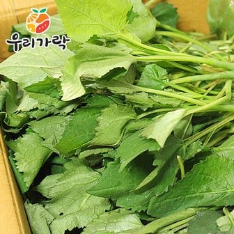 우리가락 취나물 250g(쫑취)