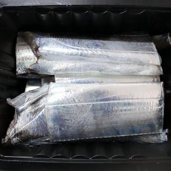 확대된 대표 생물 통영 제주 은갈치 500g 3미입 2- 3지갈치 생물갈치 생갈치 제주 산갈치 제주갈치 손질갈치 통영갈치(1)