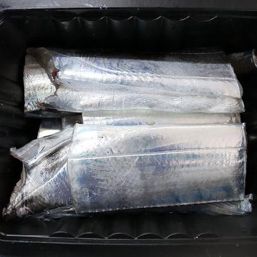 생물 통영 제주 은갈치 500g 3미입 2- 3지갈치 생물갈치 생갈치 제주 산갈치 제주갈치 손질갈치 통영갈치(1)