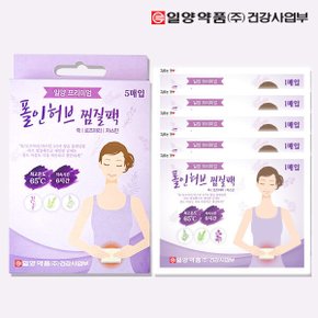 폴인허브 찜질팩 5p 1개