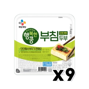 CJ 행복한콩 단단한 부침두부 간편식사 300g x 9개