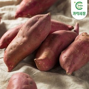 온도씨 [새벽시장]가락시장 고구마 10kg