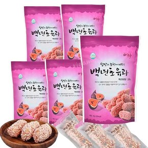 백년초 유과 80g x 5봉